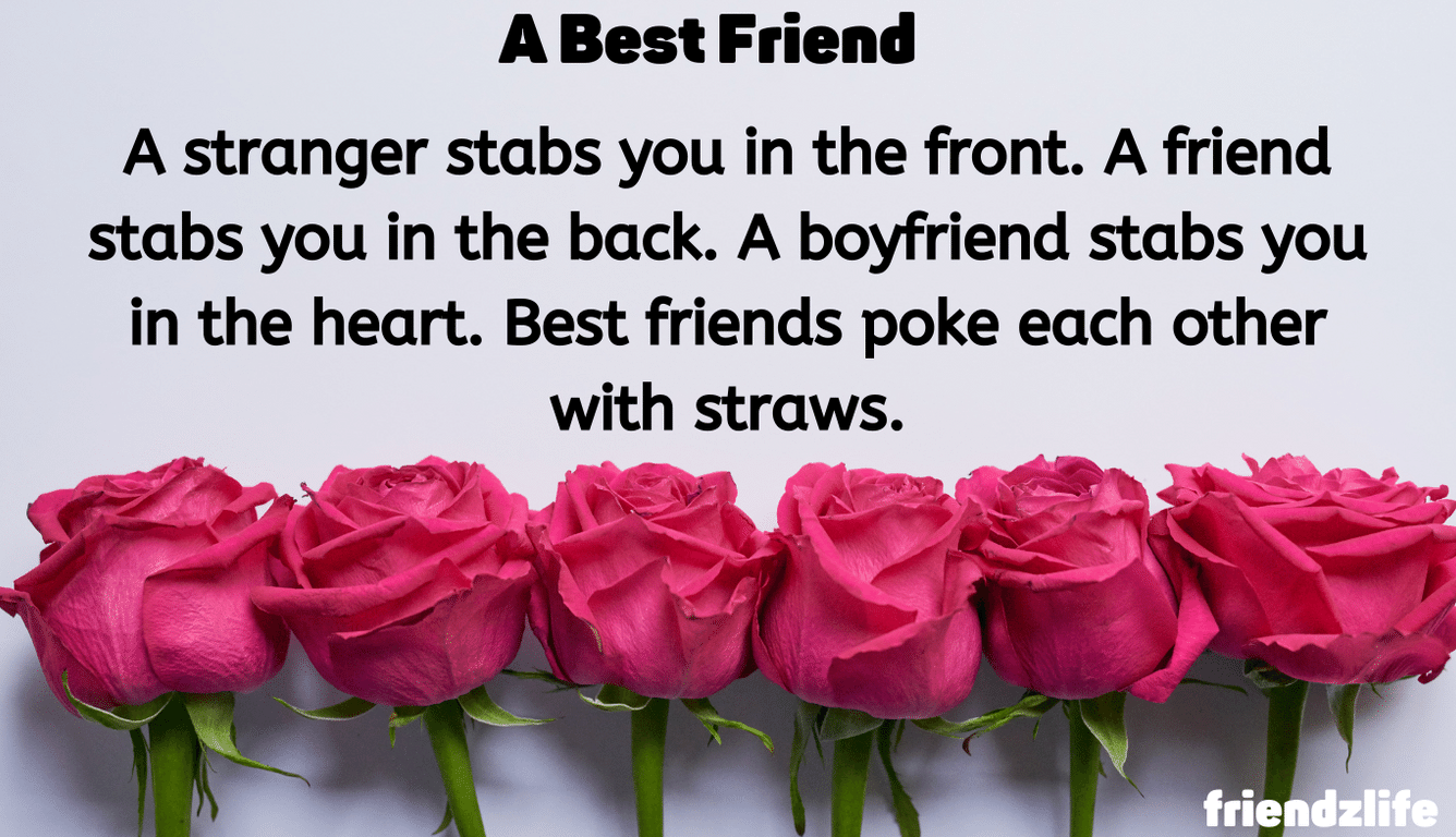Read more about the article A Best Friend