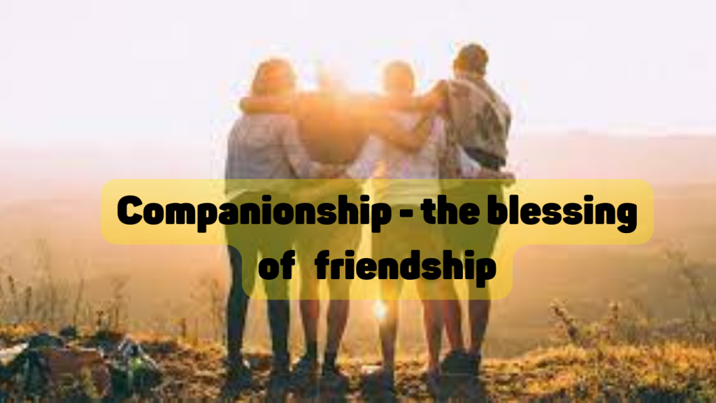 companionship - the blessing of friendship